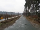 forêt de Rambouillet